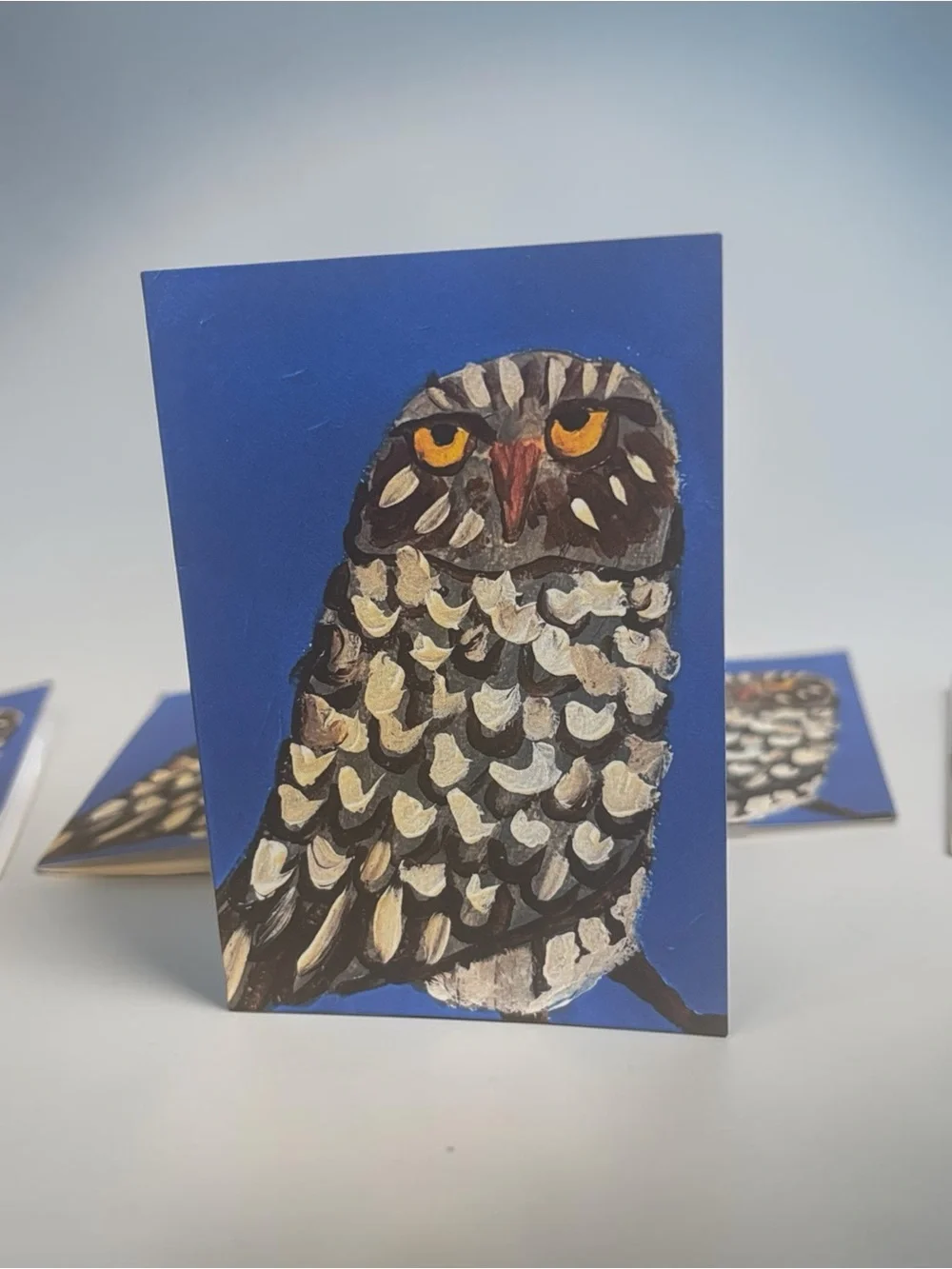 Wise Owl on Blue Sky – 5 Pack Greeting Card Set by Briefcase Artist